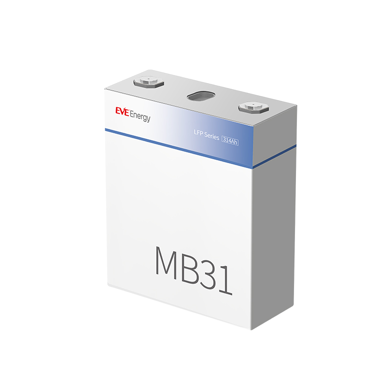 MB31.jpg