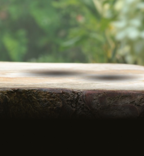 a1_pro03bg.jpg
