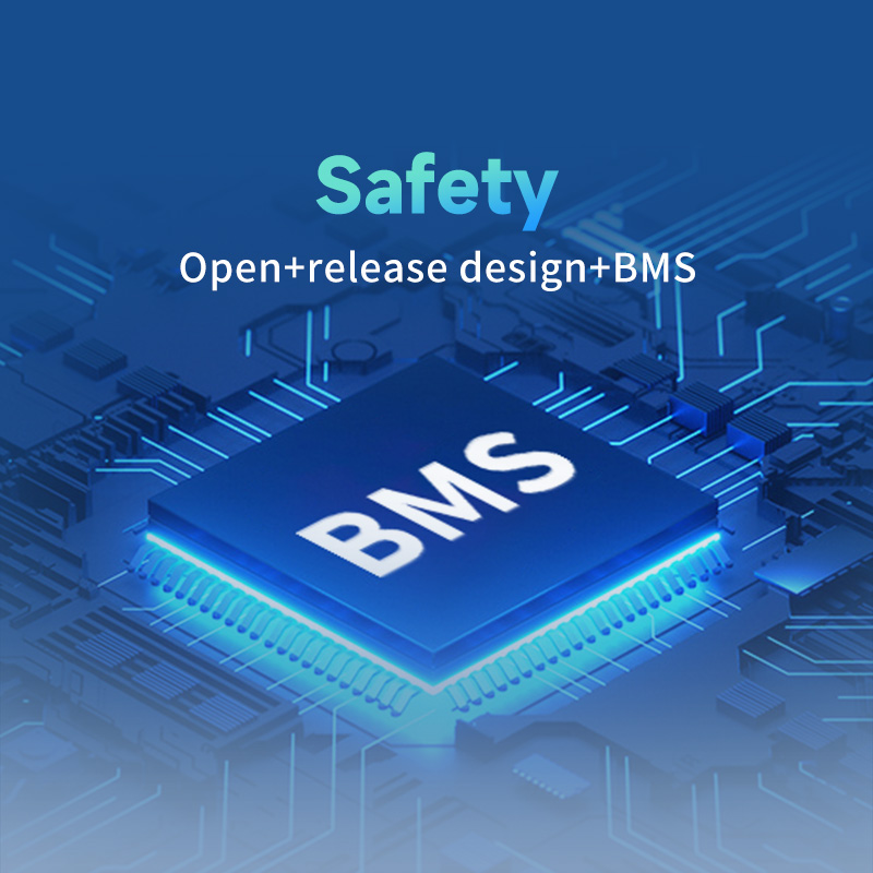 EVE-LVI-25.0-BMS.jpg