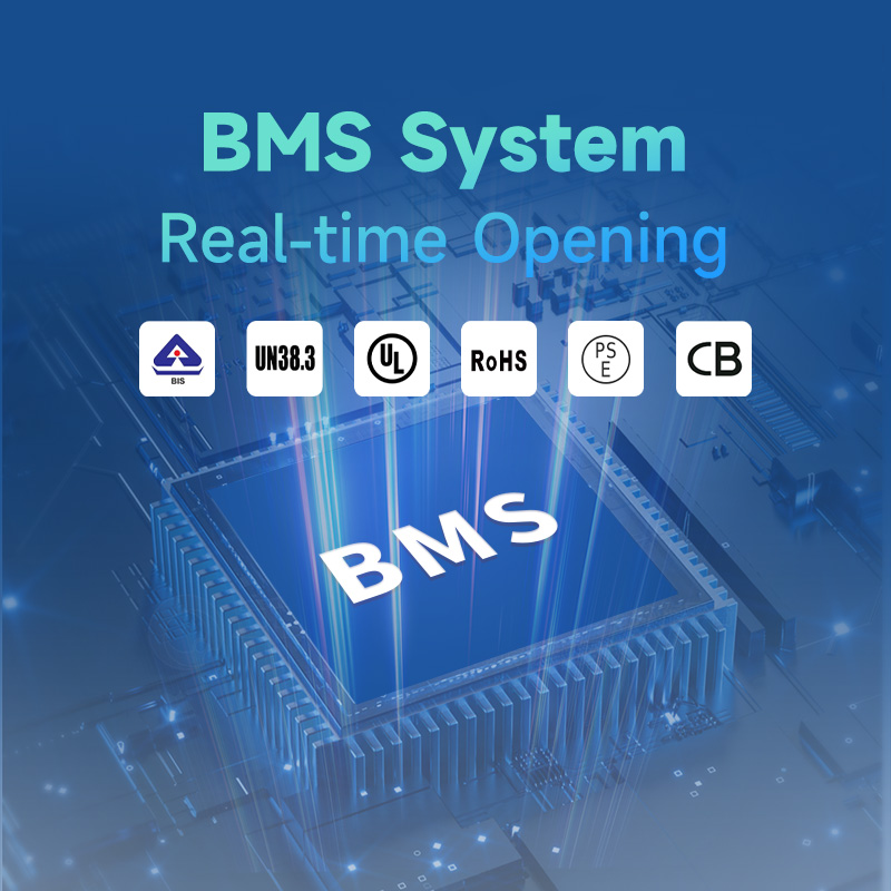 F1202-BMS.jpg
